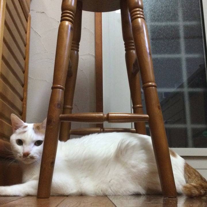 37259ee4 ff21 49ae a356 5b692a4cb588 1640867381247