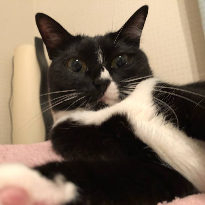 37261901 673c 4b1a 8c67 b48980a39488 1508189731951