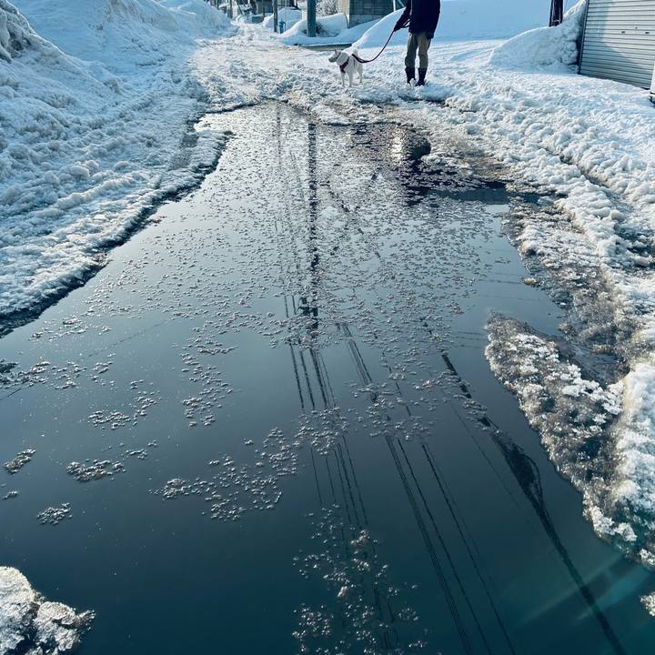 37263d62 f96f 4c2e b693 56409b294618 1710456153468