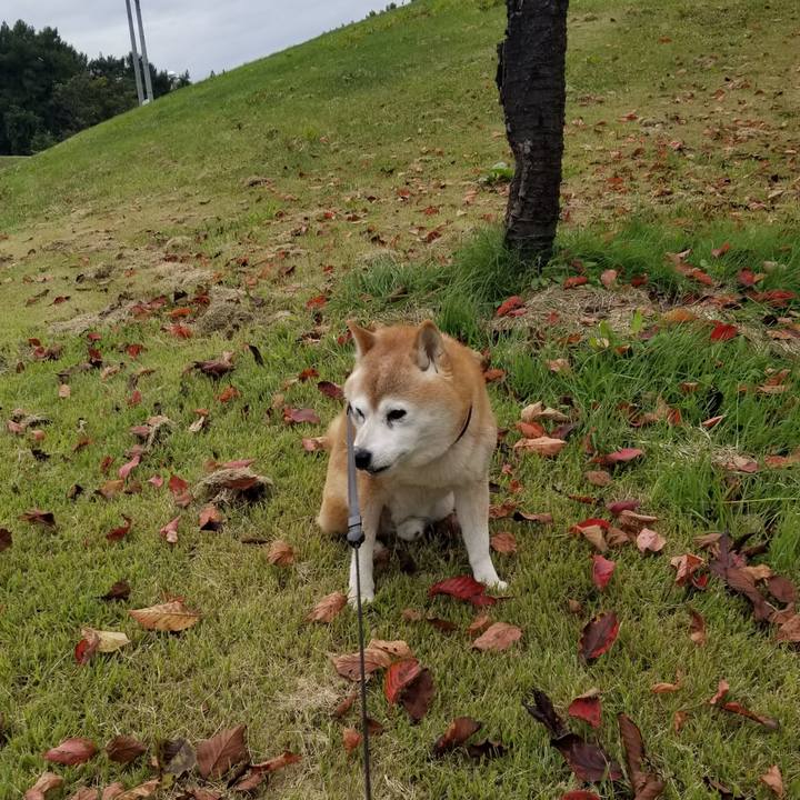 37269fec 4c39 49c9 97f6 7bb79e054ba5 1730184957801