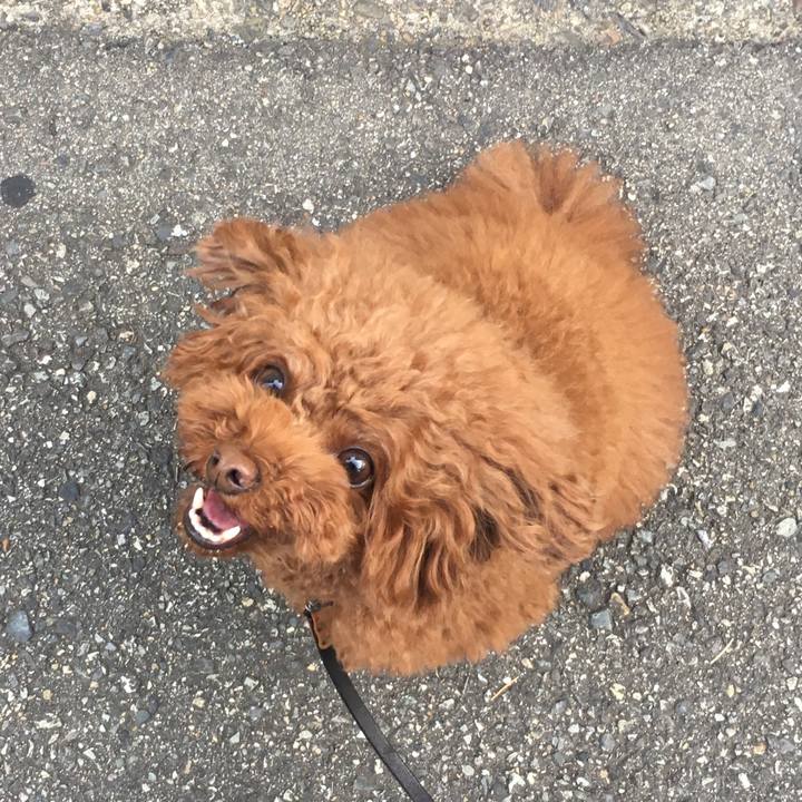 3726c0e0 7d4f 41c4 a35d d1a90ea8718f 1527205596202