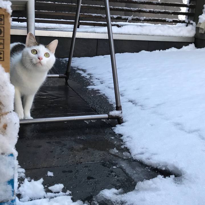 3726d1ad 8021 4428 a696 bab685d870b0 1516664000573