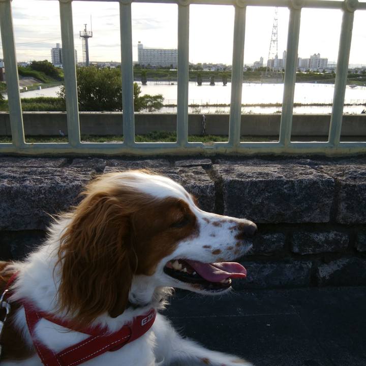 3726d96d 61f0 4543 93d4 82aaae6a9e0e 1531042490112