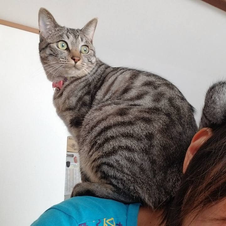 37275847 dfd4 47af 879c 9cf1a764c497 1688024906155