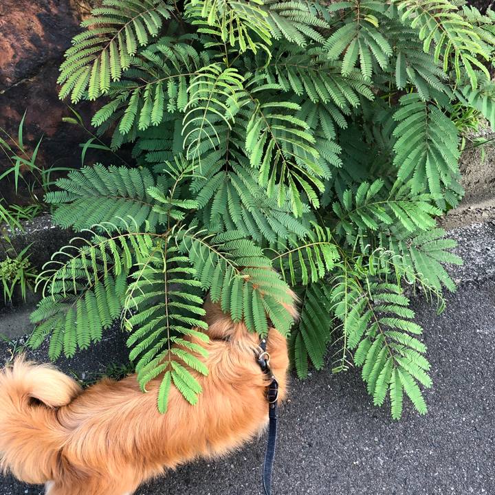 37275887 75ad 4935 88e3 6f7be91872e9 1531514950492