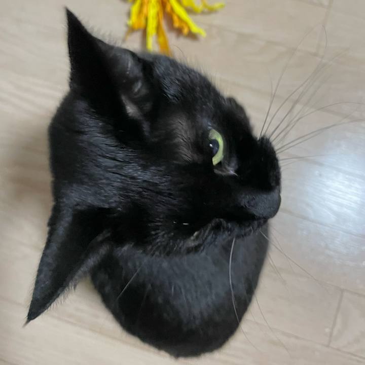 37278c14 2794 4bad a003 a3cc3bd058dc 1706273529511