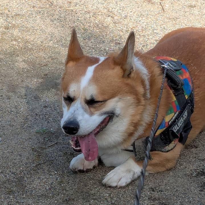 3727b03d 556f 4d98 b8da 827d63579ac3 1762996453566