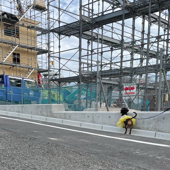 3727b20d 5c6b 4c3a 8ff1 5f2ea37b5524 1663749402863