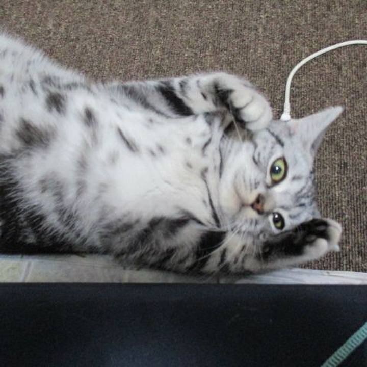 3727c84c fac6 4196 9ae3 e2297a3844b6 1540082966873