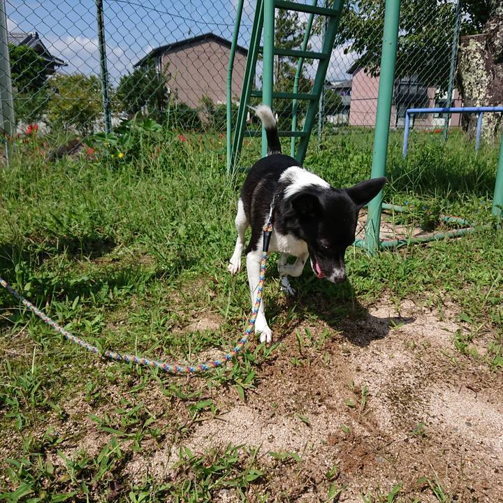 3727cd36 fe26 4c74 8a1c ae25a08a9633 1537269347090