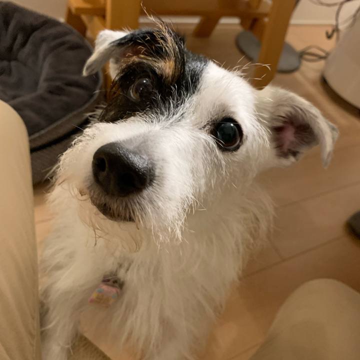 3727fc3c ca92 4cbf bfd5 91c11c280031 1660394987796