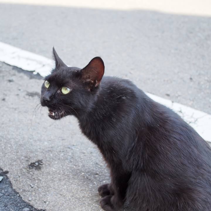 37280d5d 6513 4738 ab46 bf936d7f1548 1595169278498