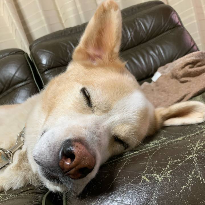 37284699 b1ff 435e ab41 a923d412b253 1603637617814