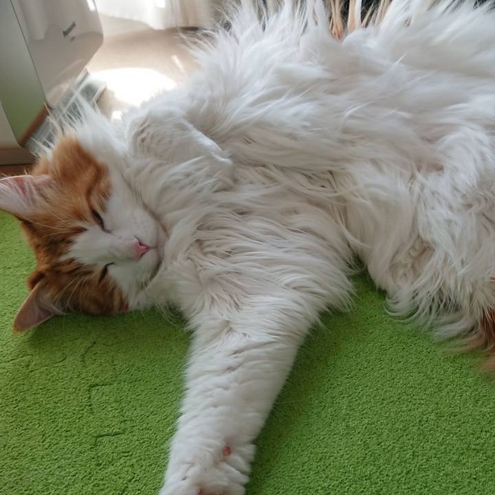 37286598 ed19 47ce 8ead d7d6bb0cc309 1558758875800