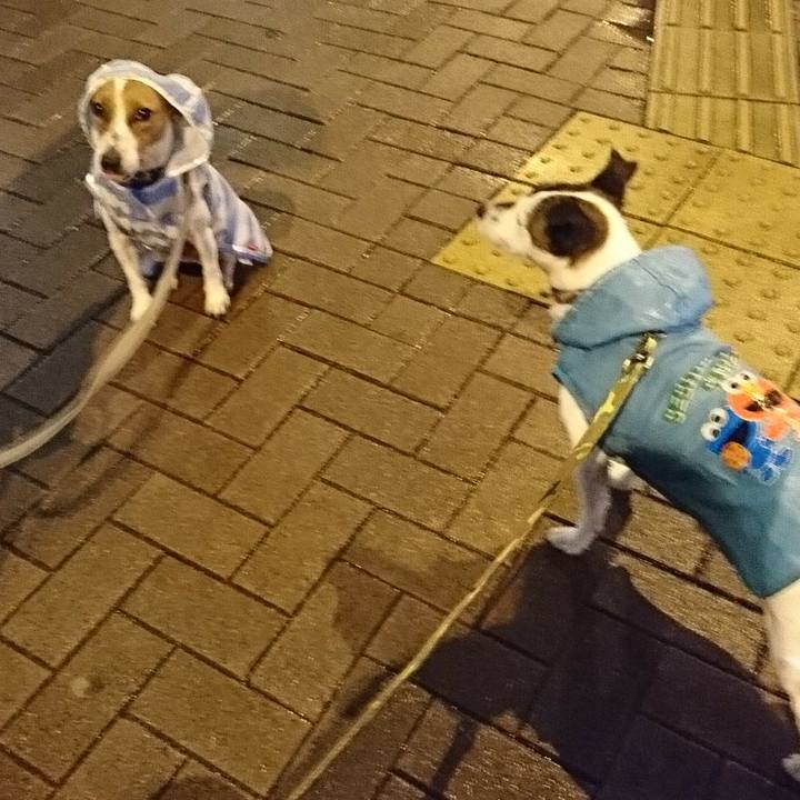 3728886b 1214 40ed 9b16 216d5d35dad5 1533729751347