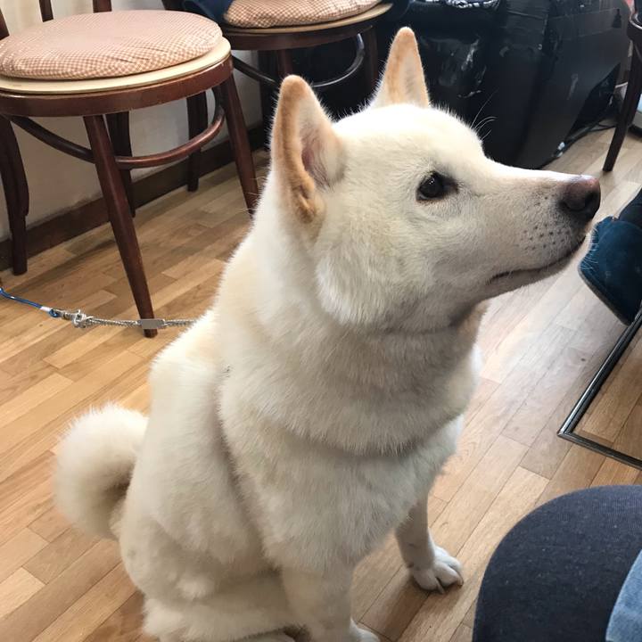 3728948a fdf1 4f89 9404 ed0516565a58 1546300392227