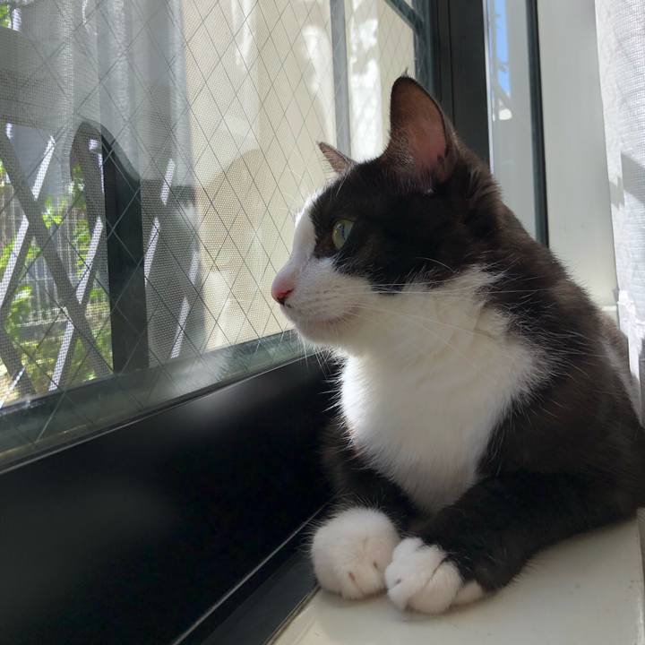 372895ad 2ae9 4fa4 a76f 98b73f6d1208 1537153365339