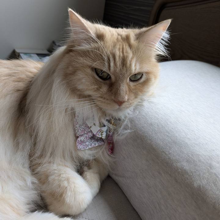 3728eed1 b790 4afe b9cb 46b7bb6b0727 1749775494889