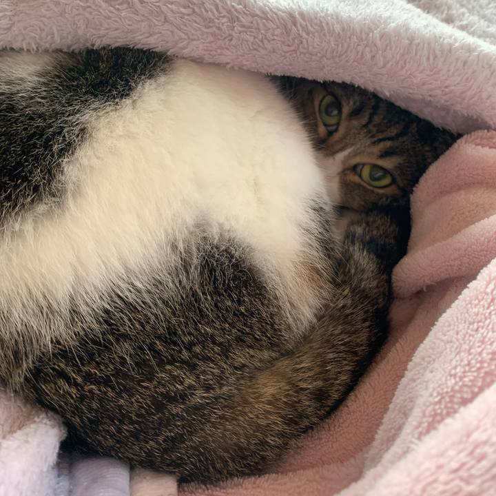 3728fb31 a11d 4cca 95bb 22aebc3c2ef1 1603070400036