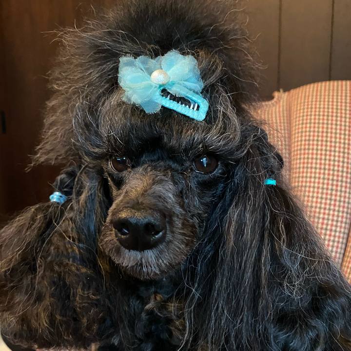 372915a7 7f28 40e0 a1a0 51d368e41c5e 1661741061517