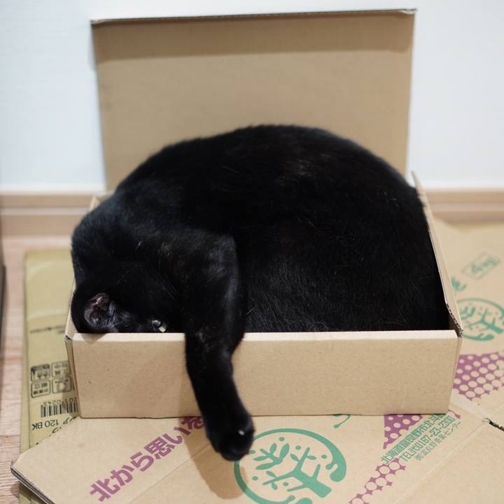 37292bda 73d9 456a a760 644f35e2454c 1557962846660