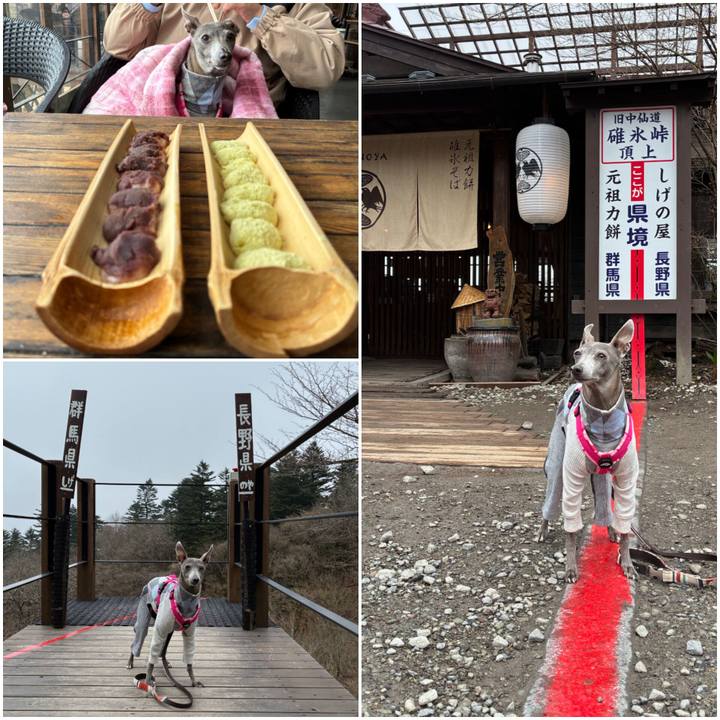 372945a4 0bf1 42f1 b74d a5d5f8fa7d6c 1776676044989