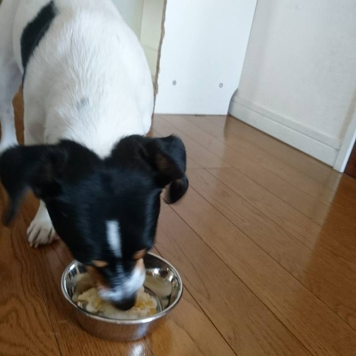 372947bd 2cec 42ee b795 d3db81c5f1f0 1558662857464