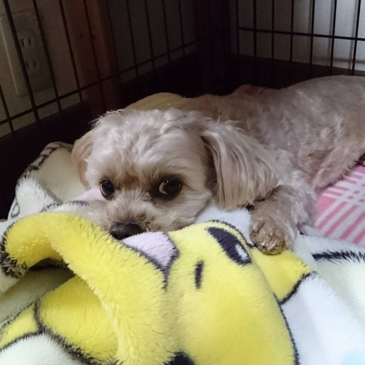 37294d26 820d 4240 b755 1ba990e9b74d 1578835500946