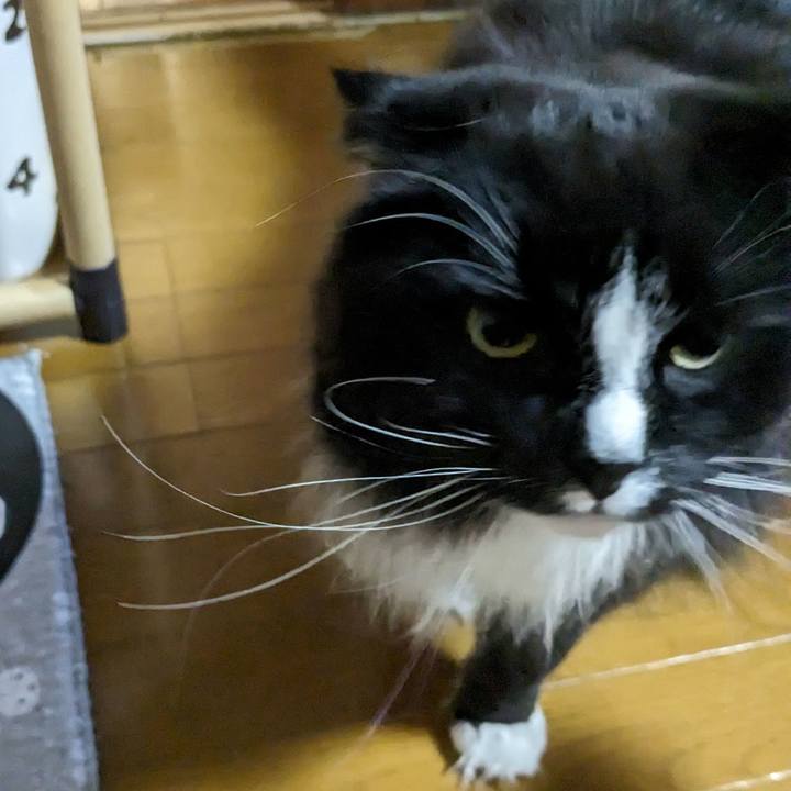 372977ff 4218 4361 841c 97396d97bfd5 1707524848159