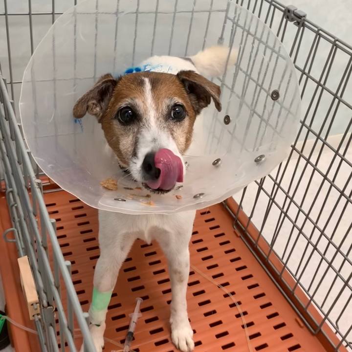 3729a46d eb71 4251 b76b 8458ba359d36 1563623792788