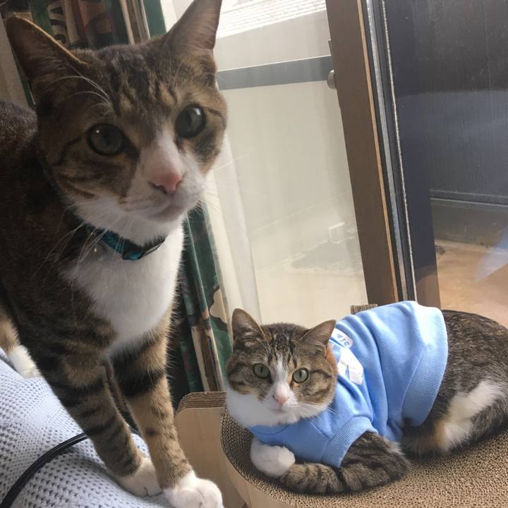 3729a68c c154 437e 8cff ab7319fd247a 1677393071464