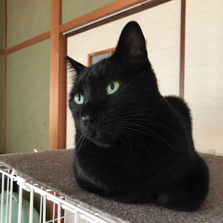 3729ac20 a60b 4c35 a6d5 387834ad1ad3 1514331826203