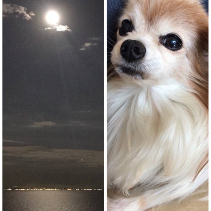 3729c656 486e 4d33 914b 3e114087e40d 1560779499130