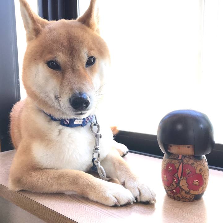 3729d4b3 69fd 4575 a6e9 e6106124c27a 1555557376649