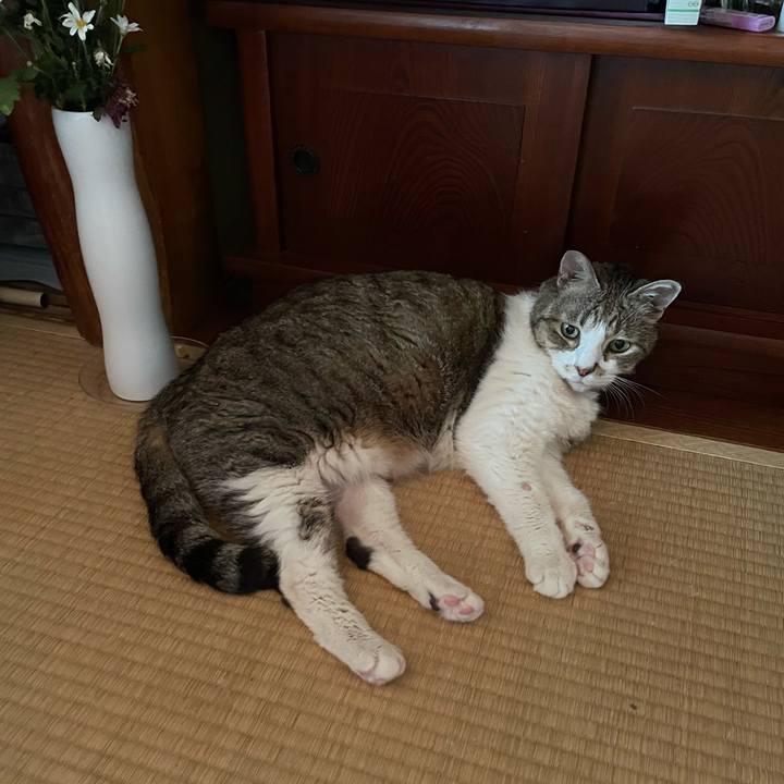 3729dbac f86b 4a49 bc8e 6f1fd1272686 1758167830409