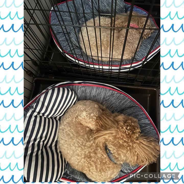 3729ef21 2fe4 46d3 9b08 b870718bc6b6 1721426925628