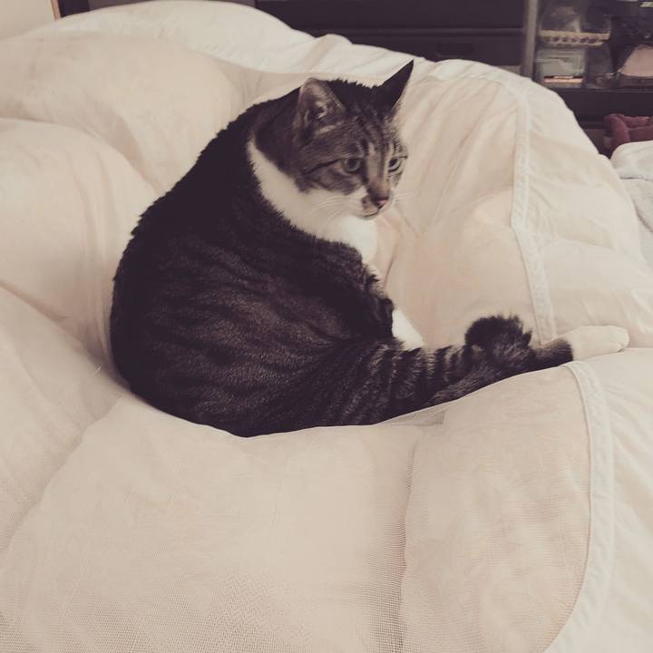 372a17f1 c0d5 405e 919d 9e2532325183 1671697102174