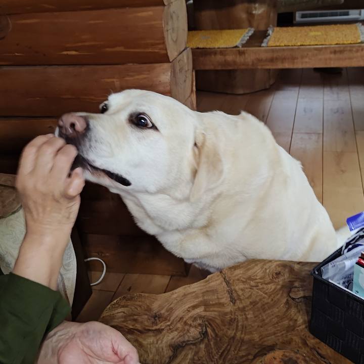 372a1ab1 6057 4e73 97ea 6a6f4ea4ede2 1748922181173