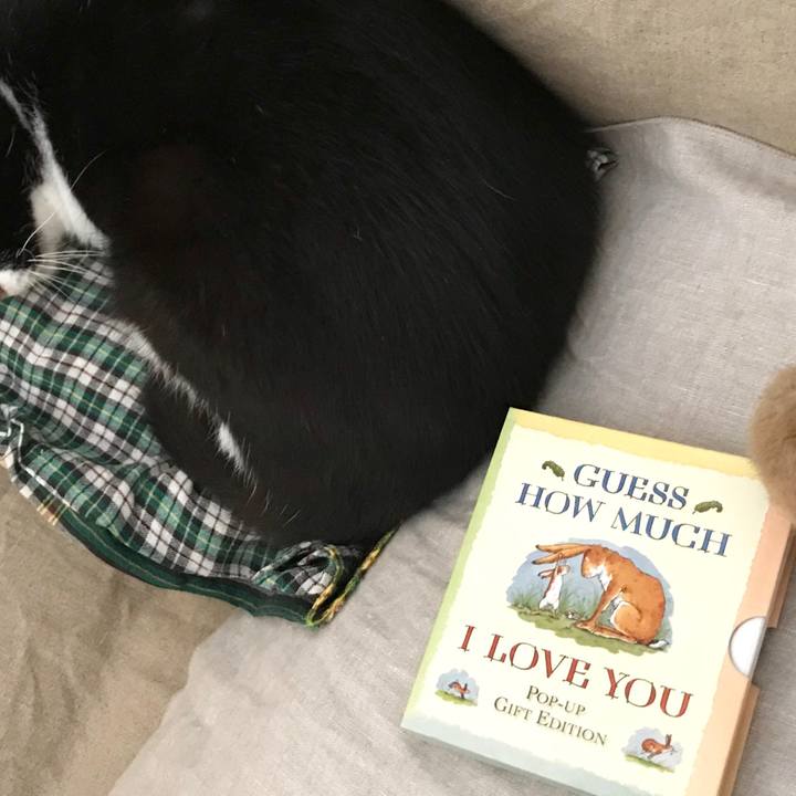 372a3f45 056c 4bfb be97 22f811563891 1531709673239