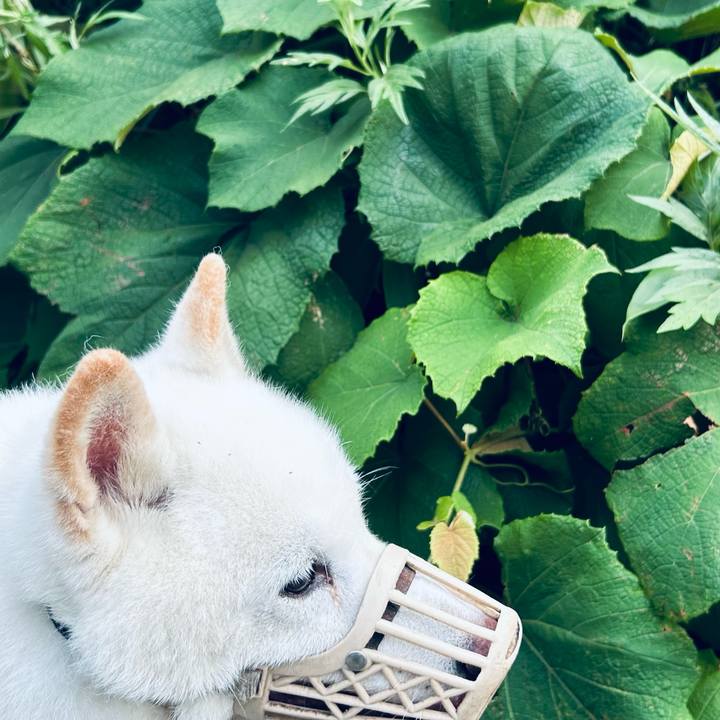 372acdf9 011f 4b03 86a1 69f7552f3e54 1752526684740