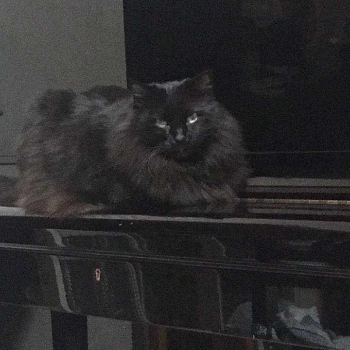 372af5dc 6601 4b28 a618 cc25781f738f 1546611696809