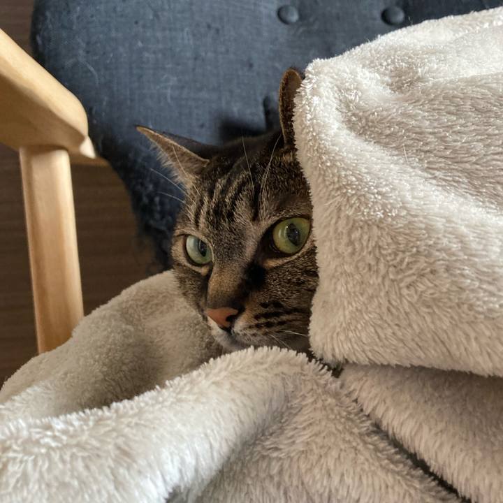 372b09a1 2858 4197 8b33 6a8dd8dd7c2d 1643244798044