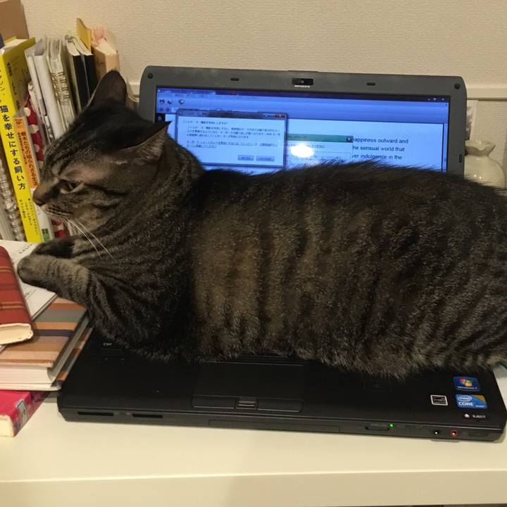 372b4c5c e8d9 47c8 b0c2 c46d2afa6ae8 1568377089963