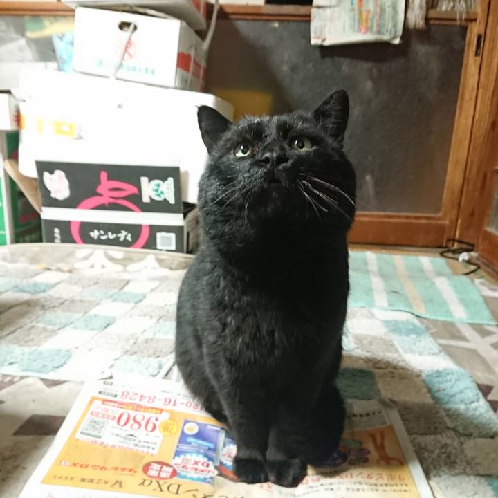 372b9348 1b1e 472f 98b6 43b118a54499 1646389649805