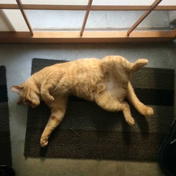 372b9760 e976 4d75 a0d4 f6580de67308 1535633105377