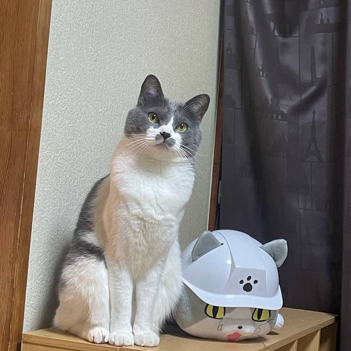 372bf22f 9be9 437a bff5 e5b71fd146c0 1675947597791