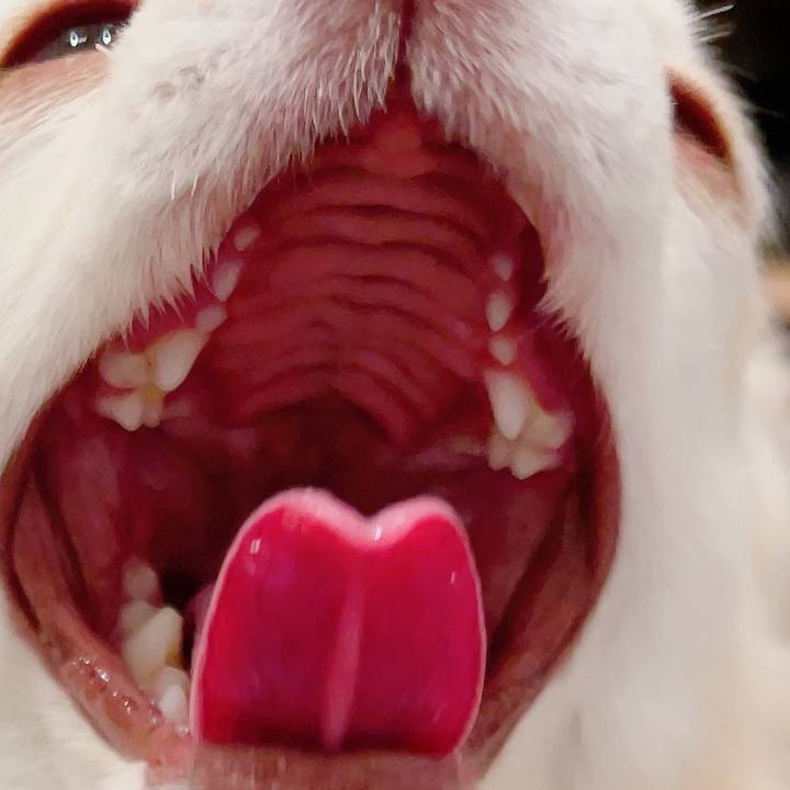 372c3ad4 518d 4886 9596 b6e1cf943015 1706357814030