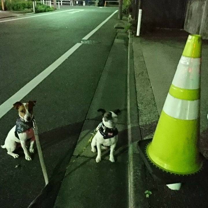 372c757b 7b78 4945 8b8e 648a114a0d57 1533815888642