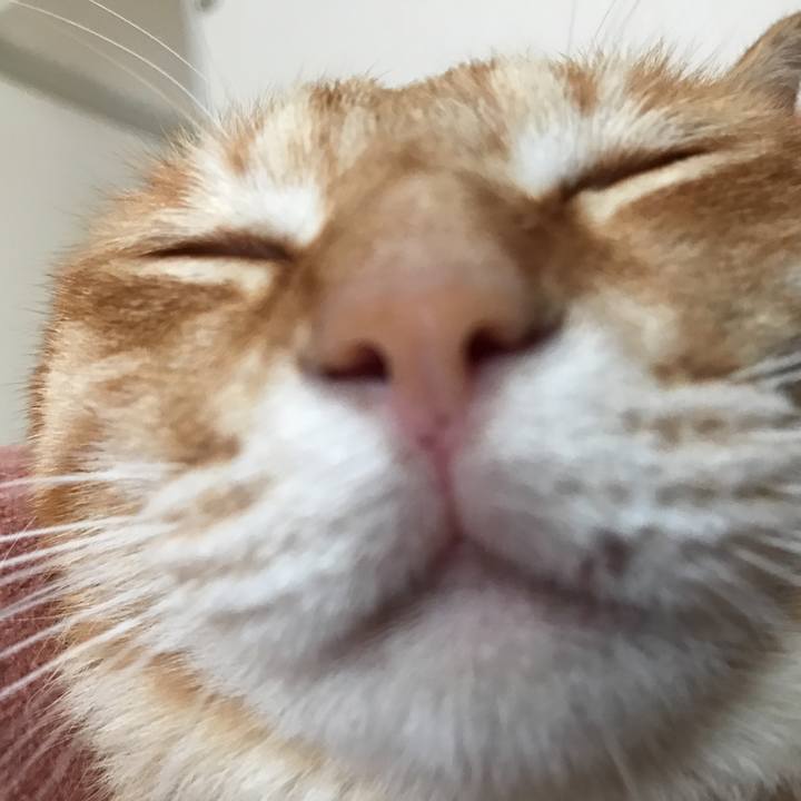 372c843b 4772 4bae 85a2 3fb56160776f 1527741200737