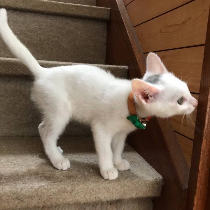 372c8794 b8d1 40d3 87d2 dd07ee328d40 1595198453233